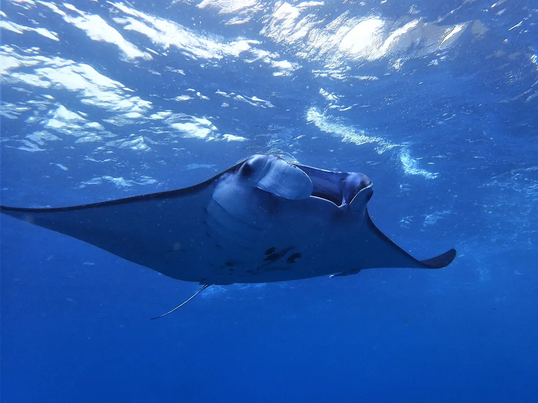 Nusa Penida
